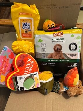 Glad All-in-One Training Pads - XL Pack (30) - White/Green